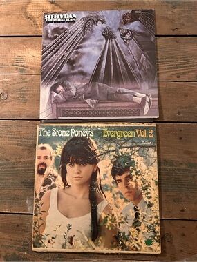 ⭐️ Steely Dan & Stone Poneys Vintage vinyls